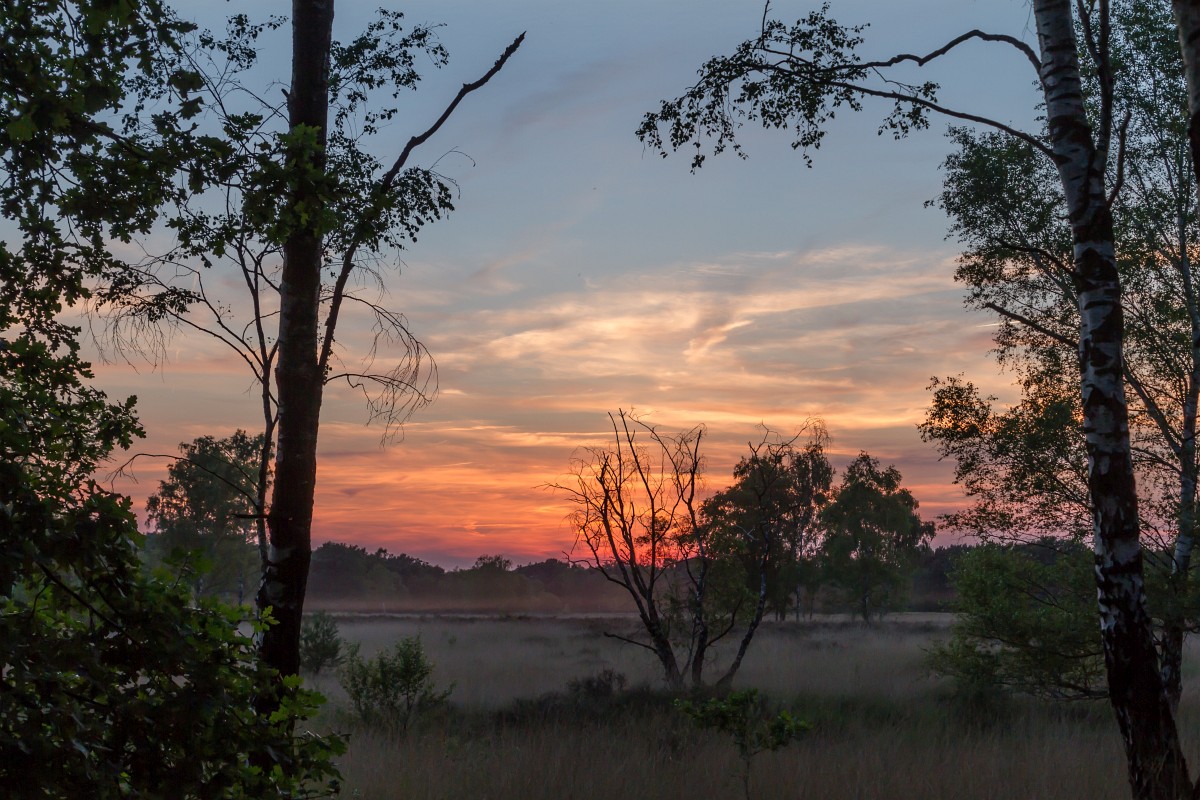 foto: [20170619PV5264]